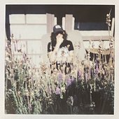 violet1.jpg