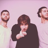 The Natrolites