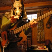 Bass knockin' donkey