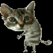 Avatar de Snack203