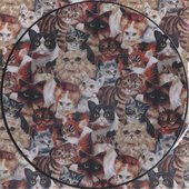 So So Many White White Tigers