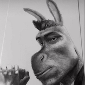 Avatar for Mkbewe69