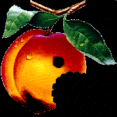 Avatar di peach0fMIND