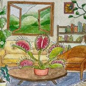Flytrap