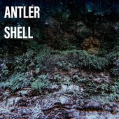 Antler Shell