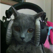 Avatar for yuraaaaaa