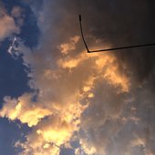 22141822-741B-43FF-A1D1-4BE44A452DAD.jpeg