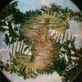 La Palma- Swept Away / Holiday art