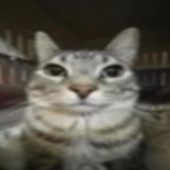 Avatar for Dinissilva14