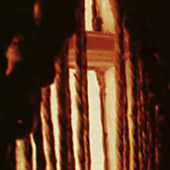 Avatar for EnigmaticTapes