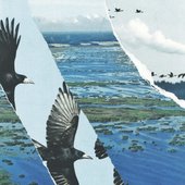Salattu Suomi