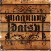 Magnum Daisy