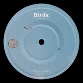 Birds (Flying High)