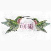 Colibrí - Single