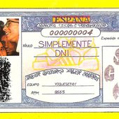 Simplemente DNI