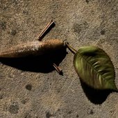 SLUG