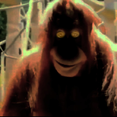 Avatar for url763268997427