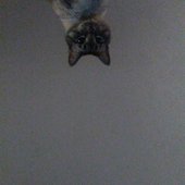 0030158001_10.jpg