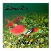 Salmon Run - Single