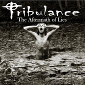 Aftermath Of Lies Cover 1.jpg