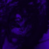 DVNOTS SPOTIFY