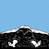 Avatar for alauraborealis