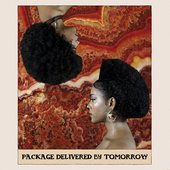 Package Delivered by Tomorrow _ Adja 2025.jpg