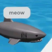 sharks_TUNES 的头像