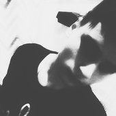 obesad lifelover pic