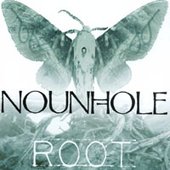Root