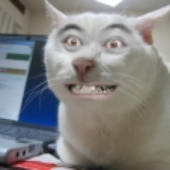 LastFM profile picture for @Git