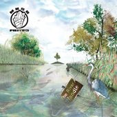 The River Wandle