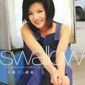 小燕子 swallow