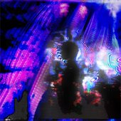 Budokan Acid