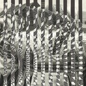 Prairie spells, a ribbon wove