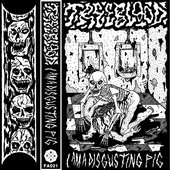 I Am a Disgusting Pig