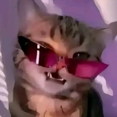 Kaeskii 的头像