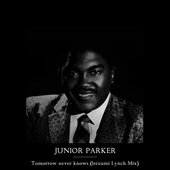 Tomorrow never knows (Irezumi Lynch Mix)