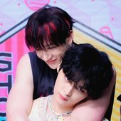🐺🐰