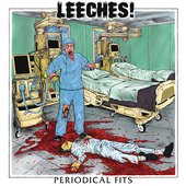 Periodical Fits