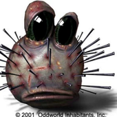 20240723_154736.jpg