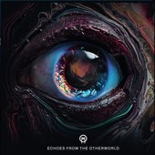 Echoes From The Otherworld