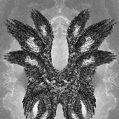 Avatar for amchdnvs