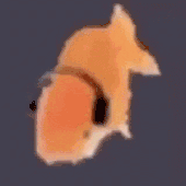 jun_xd 的头像