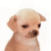 Avatar for Simulants