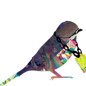 Avatar for Mattesgfx