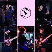 Feyn Entity