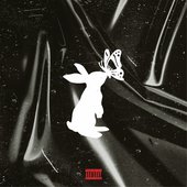 ButterFly Rabbit - Single