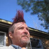 Pink Mohawk Man surveys his domain.