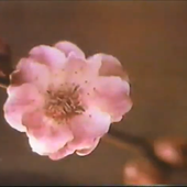 Screenshot (2738).png